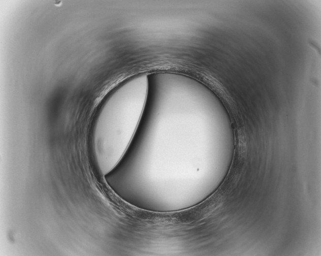 X0000100220626200805300748