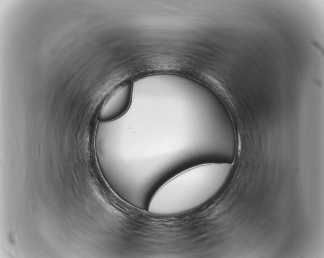X0000100220627200805300748