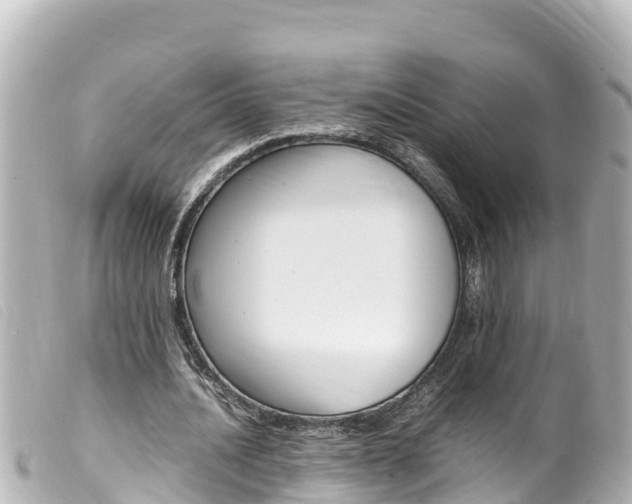 X0000100220628200805300748