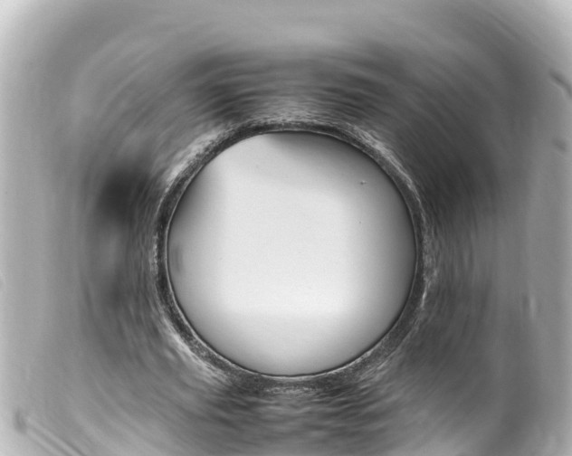 X0000100220629200805300748