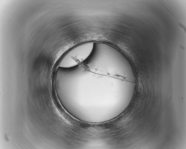 X0000100220630200805300748