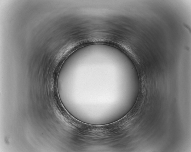 X0000100220631200805300748