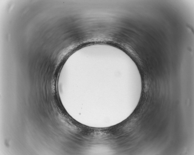 X0000100220632200805300748