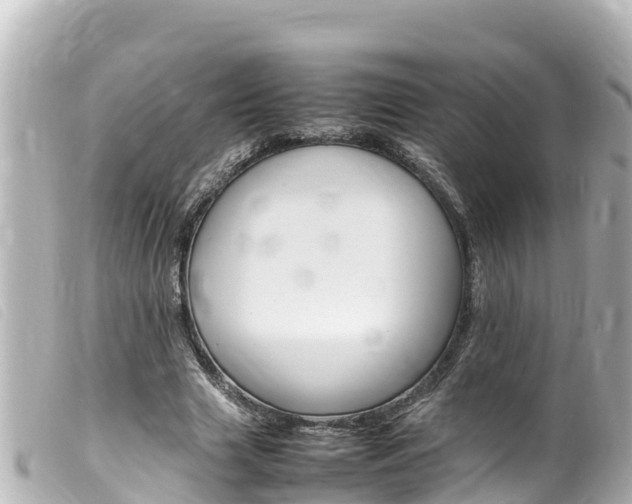 X0000100220633200805300748