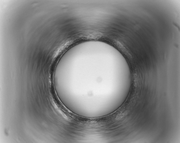 X0000100220634200805300748