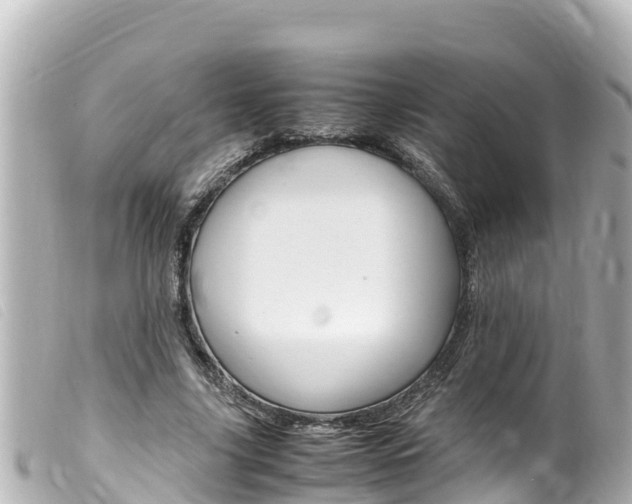 X0000100220635200805300748