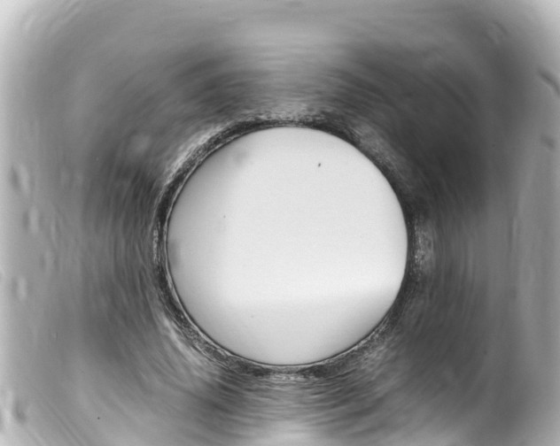 X0000100220636200805300748