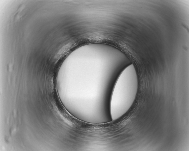 X0000100220638200805300748