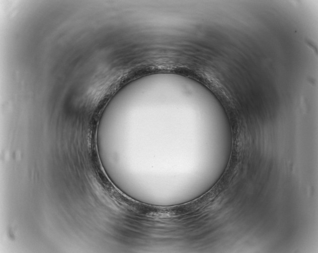 X0000100220639200805300748