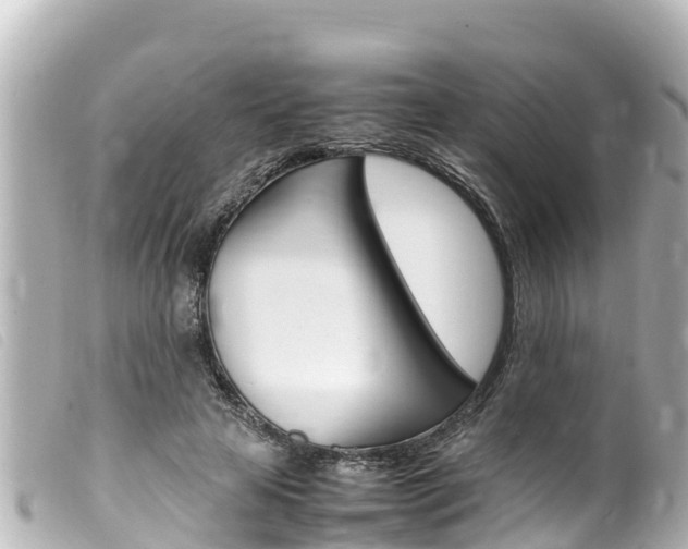 X0000100220641200805300748