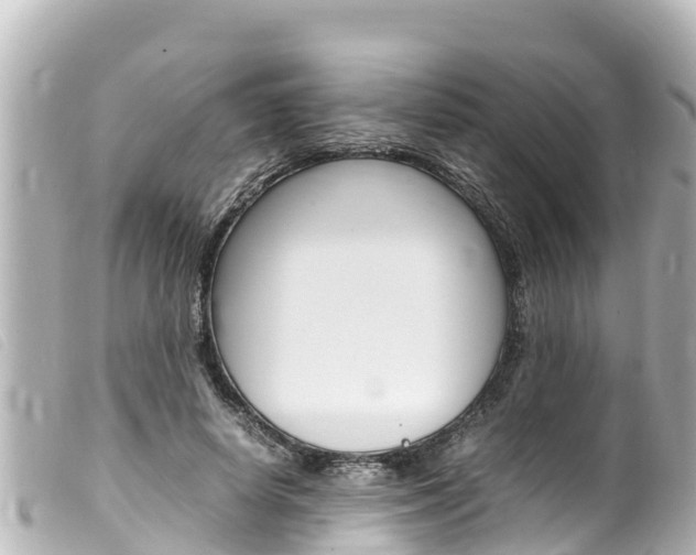 X0000100220642200805300748
