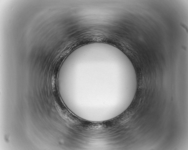 X0000100220646200805300748