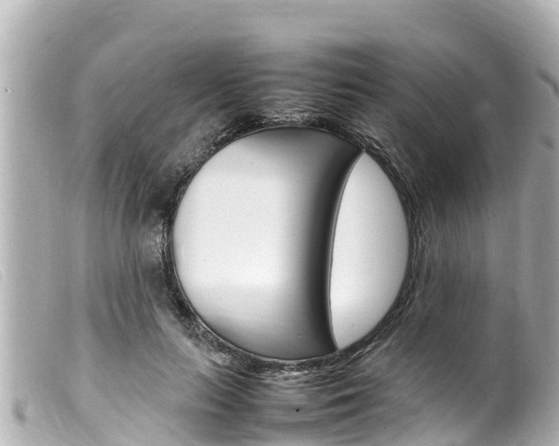 X0000100220647200805300748