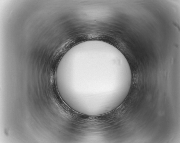 X0000100220648200805300748