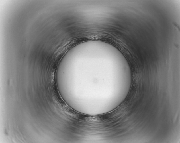 X0000100220652200805300748
