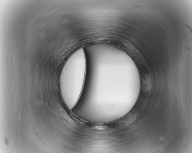X0000100220654200805300748