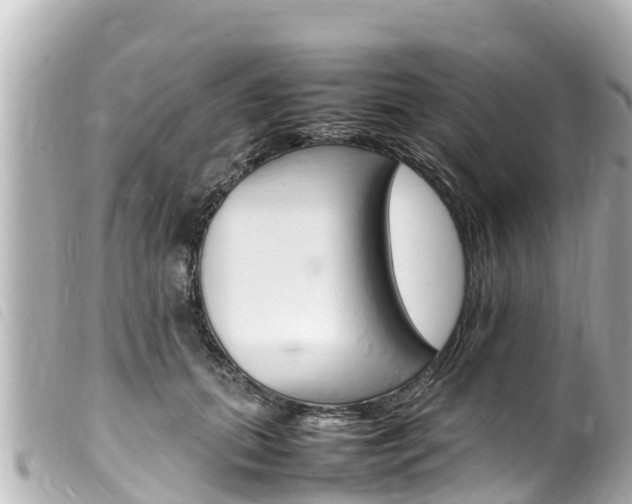 X0000100220655200805300748