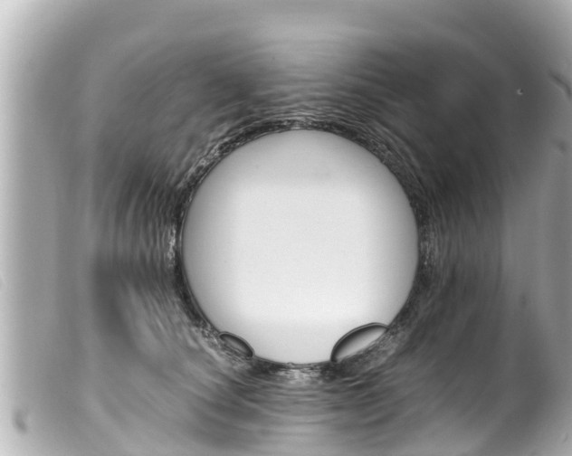 X0000100220660200805300748