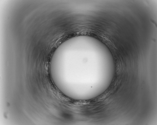 X0000100220661200805300748