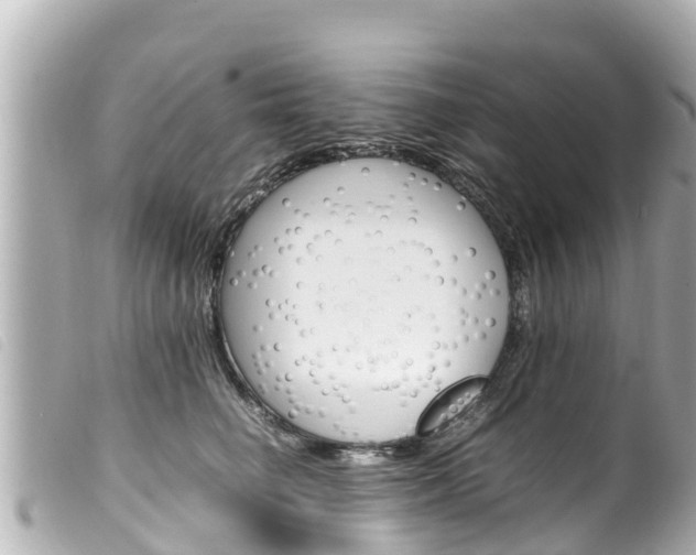 X0000100220662200805300748