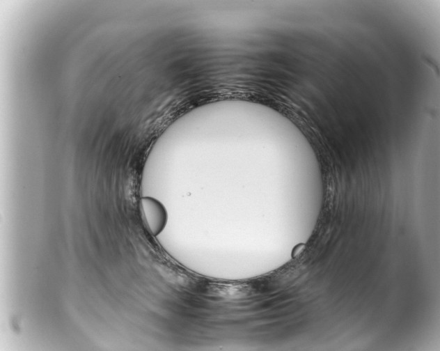 X0000100220663200805300748