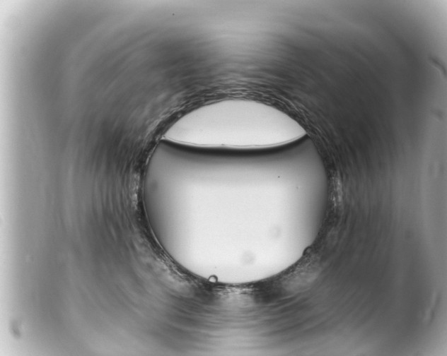 X0000100220664200805300749