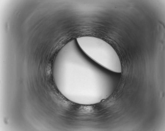 X0000100220665200805300749