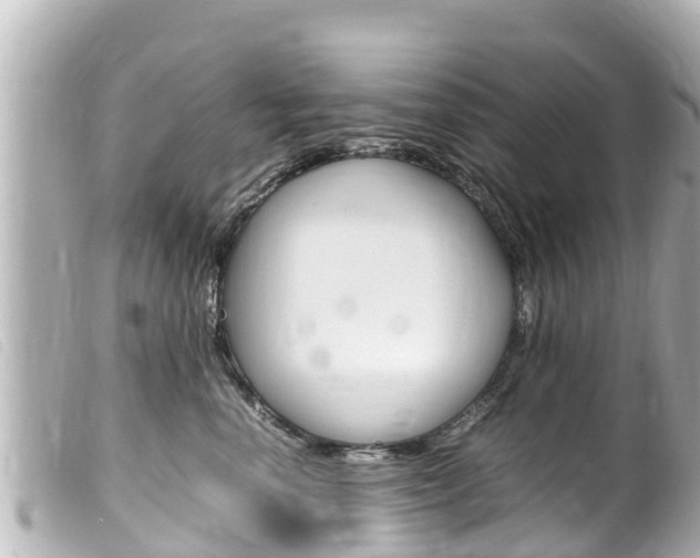 X0000100220666200805300749