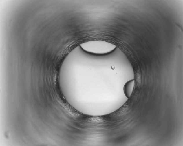 X0000100220668200805300749