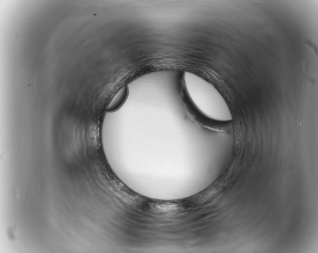 X0000100220669200805300749
