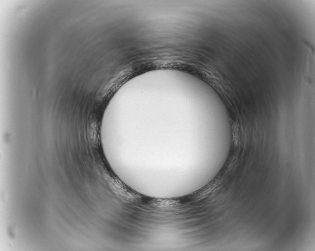 X0000100220670200805300749