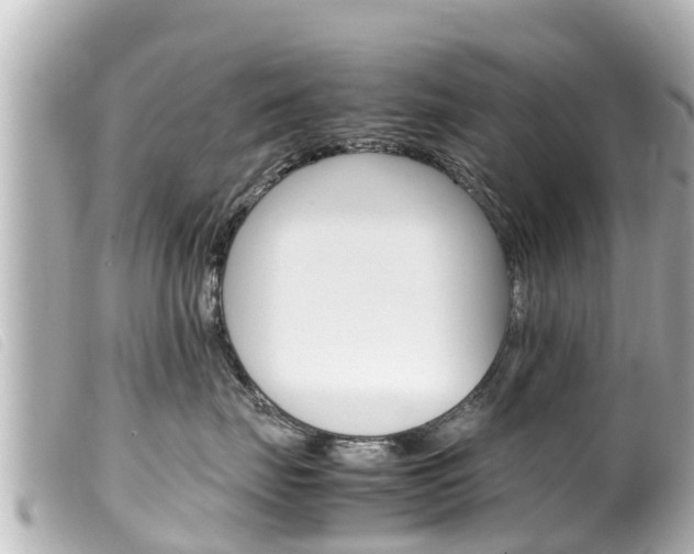 X0000100220671200805300749