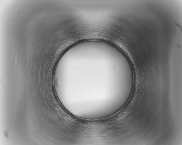 X0000100220673200805300748