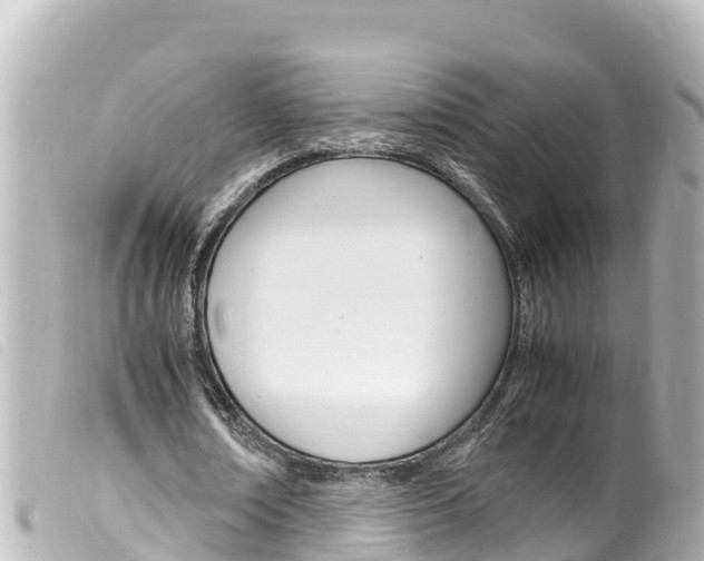 X0000100220674200805300748
