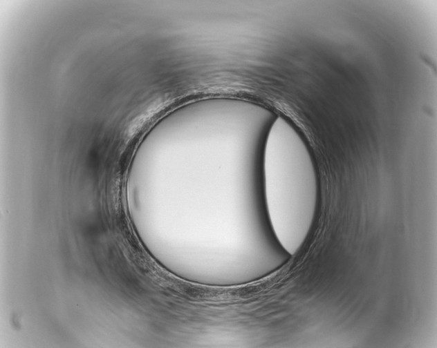 X0000100220675200805300748