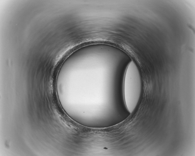 X0000100220676200805300748