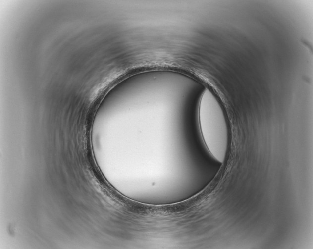 X0000100220677200805300748