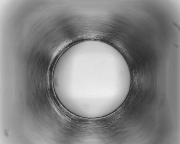 X0000100220678200805300748