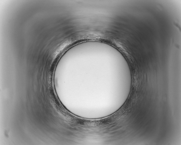 X0000100220679200805300748