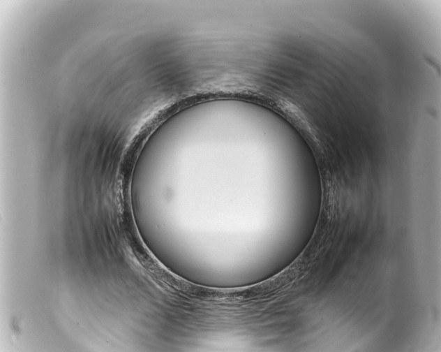 X0000100220680200805300748