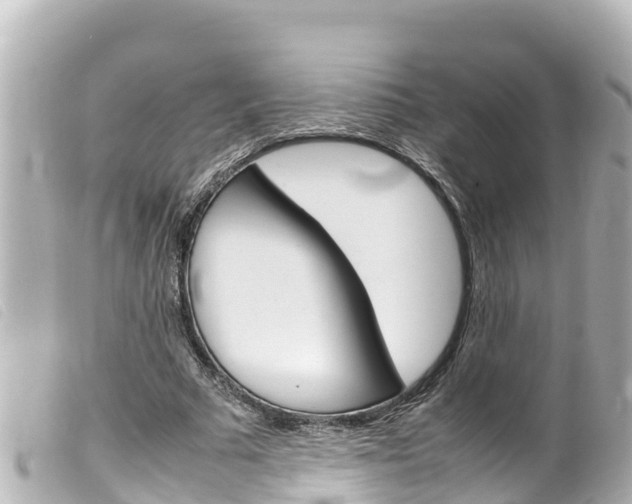X0000100220681200805300748