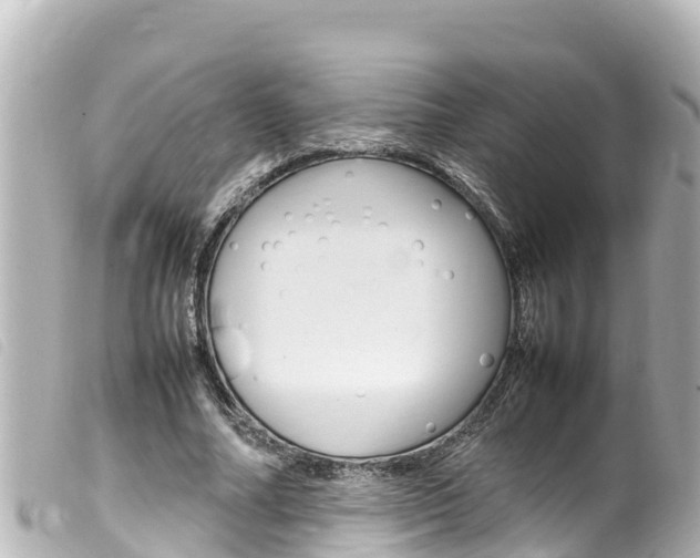 X0000100220682200805300748