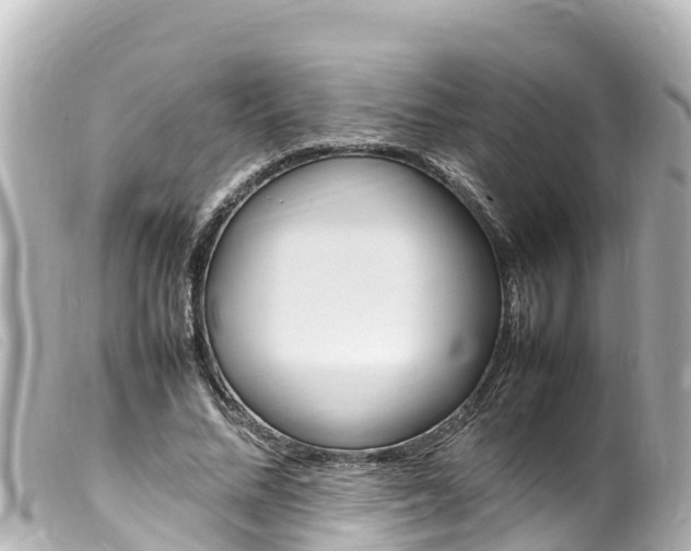 X0000100220684200805300748