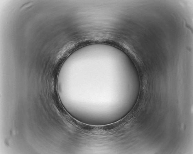 X0000100220685200805300748