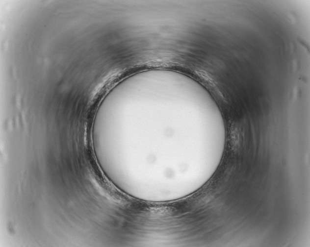 X0000100220686200805300748