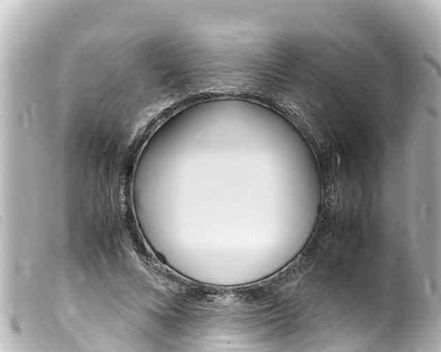 X0000100220688200805300748