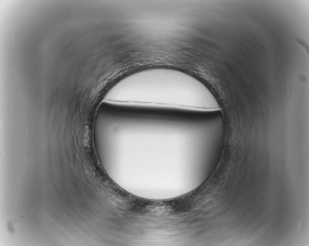 X0000100220689200805300748