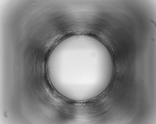 X0000100220690200805300748