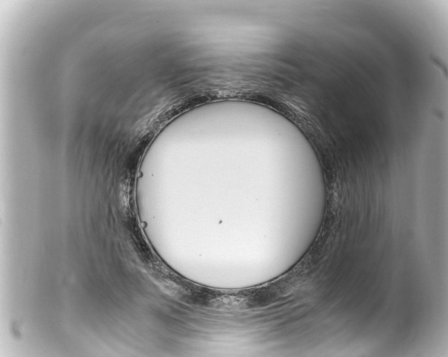 X0000100220691200805300748