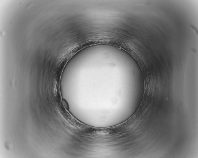 X0000100220692200805300748